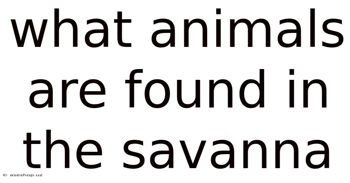 What Animals Are Found In The Savanna