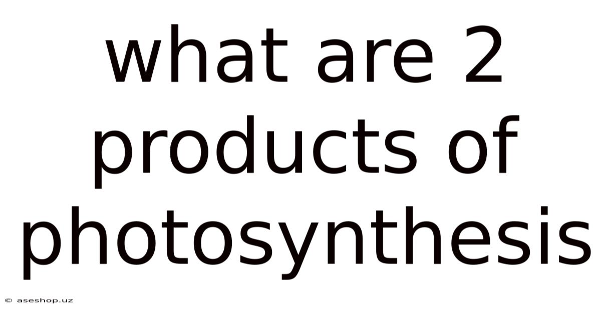 What Are 2 Products Of Photosynthesis