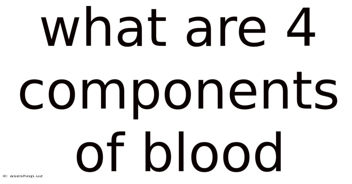 What Are 4 Components Of Blood