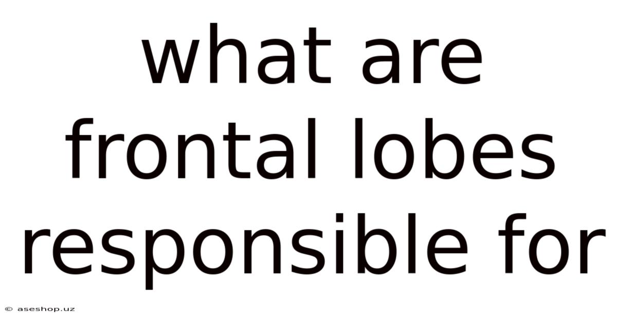What Are Frontal Lobes Responsible For