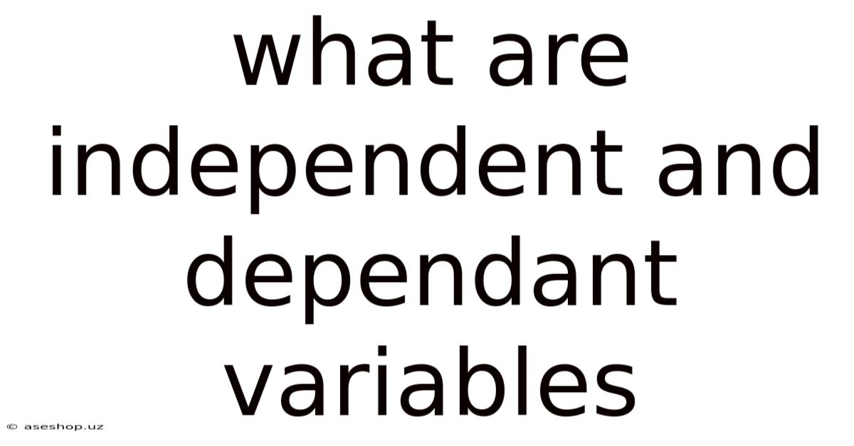 What Are Independent And Dependant Variables