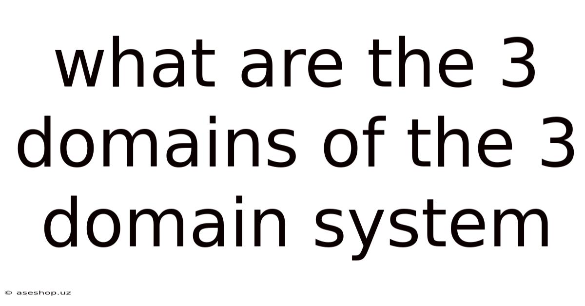 What Are The 3 Domains Of The 3 Domain System
