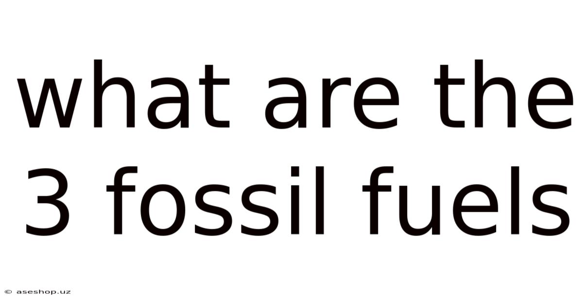 What Are The 3 Fossil Fuels