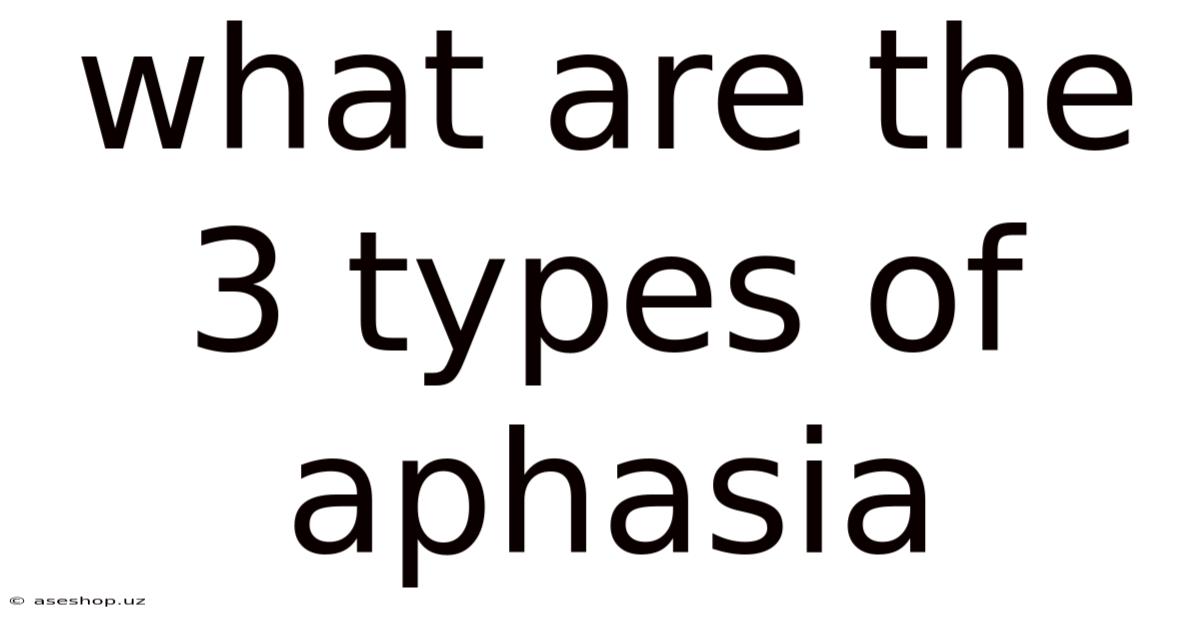 What Are The 3 Types Of Aphasia