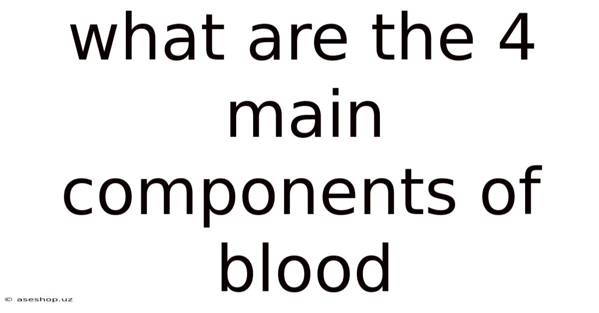 What Are The 4 Main Components Of Blood