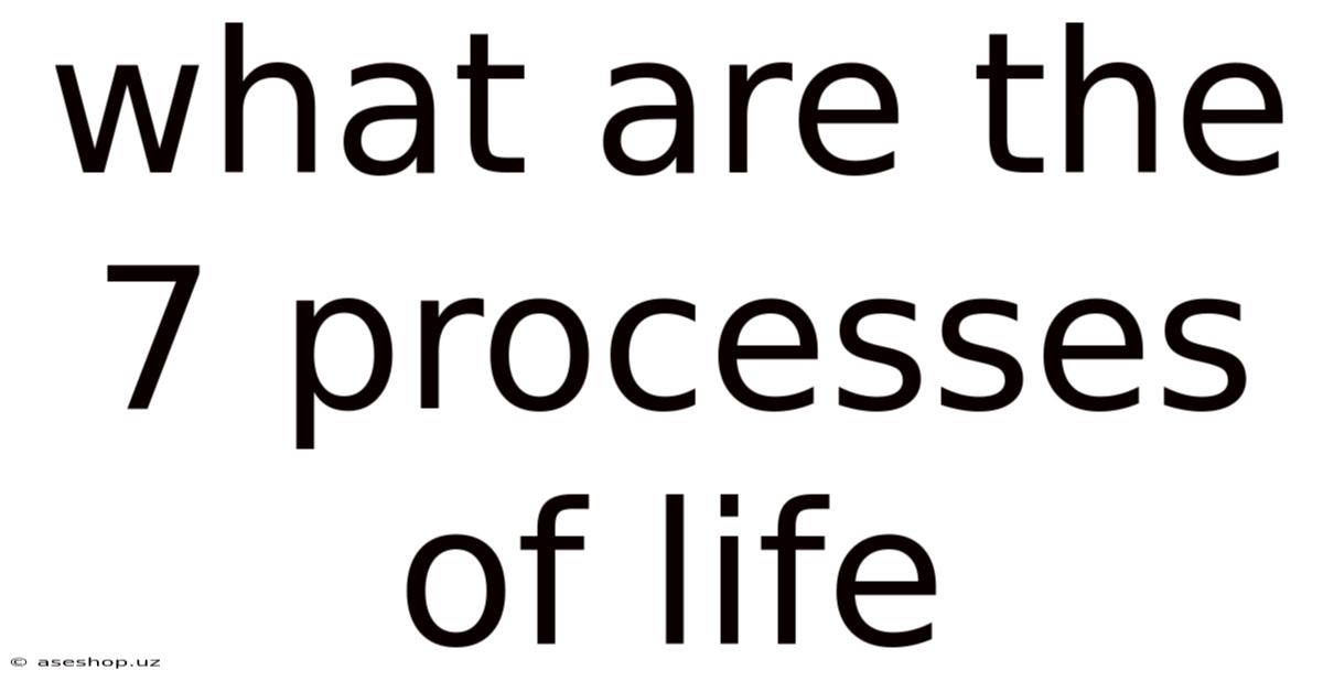 What Are The 7 Processes Of Life