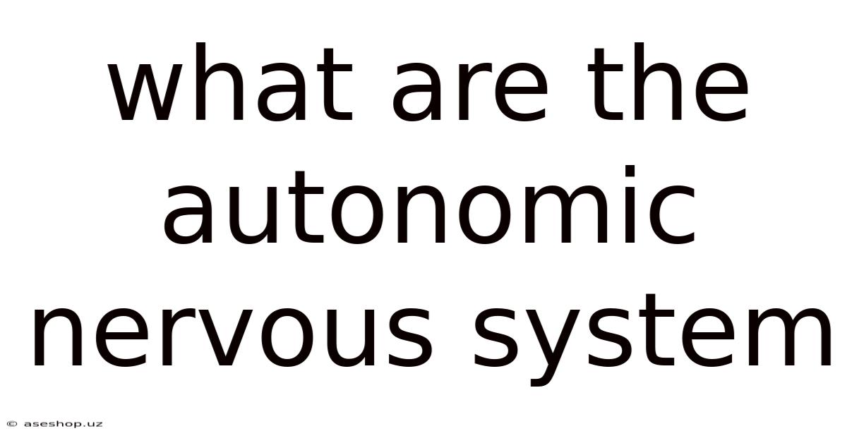 What Are The Autonomic Nervous System