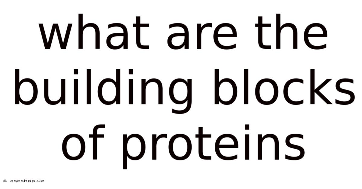 What Are The Building Blocks Of Proteins