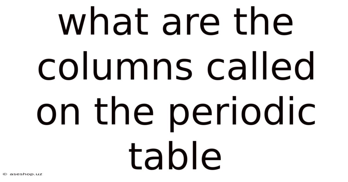 What Are The Columns Called On The Periodic Table