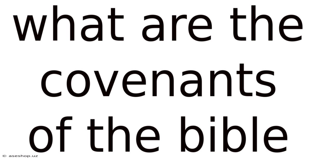 What Are The Covenants Of The Bible