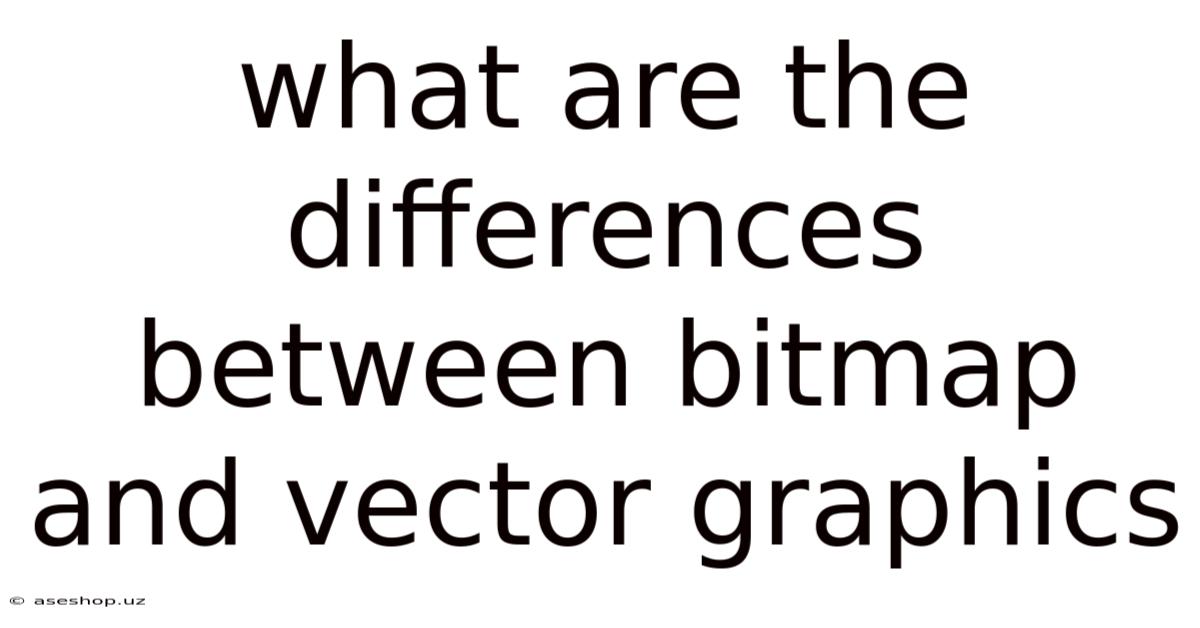 What Are The Differences Between Bitmap And Vector Graphics