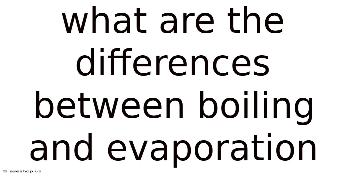 What Are The Differences Between Boiling And Evaporation