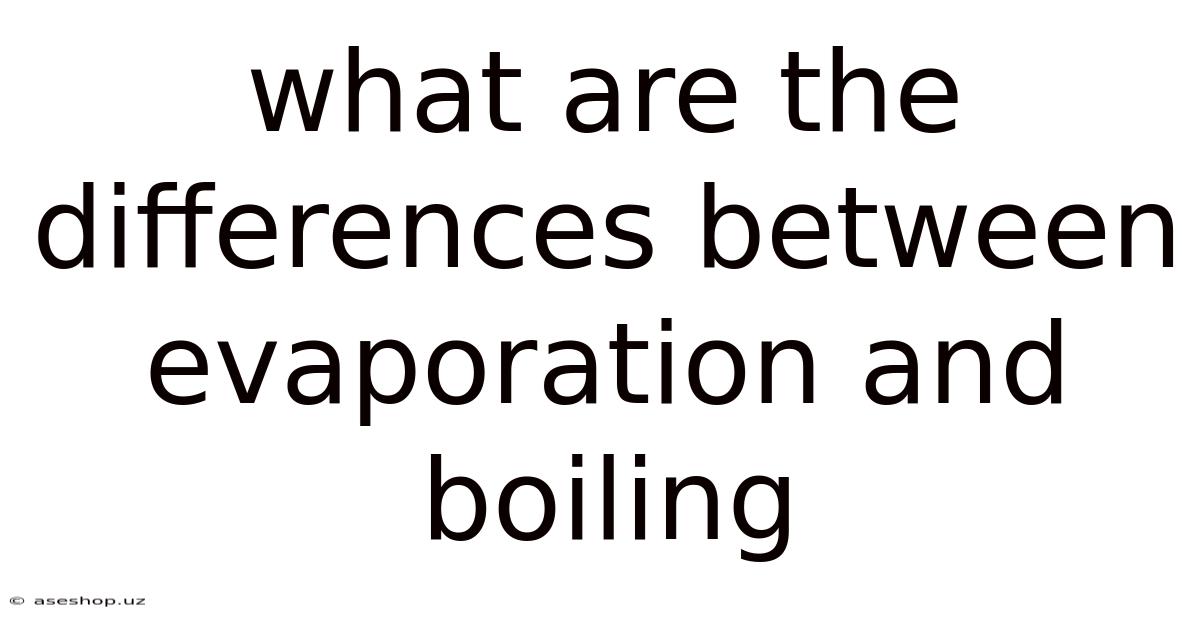 What Are The Differences Between Evaporation And Boiling