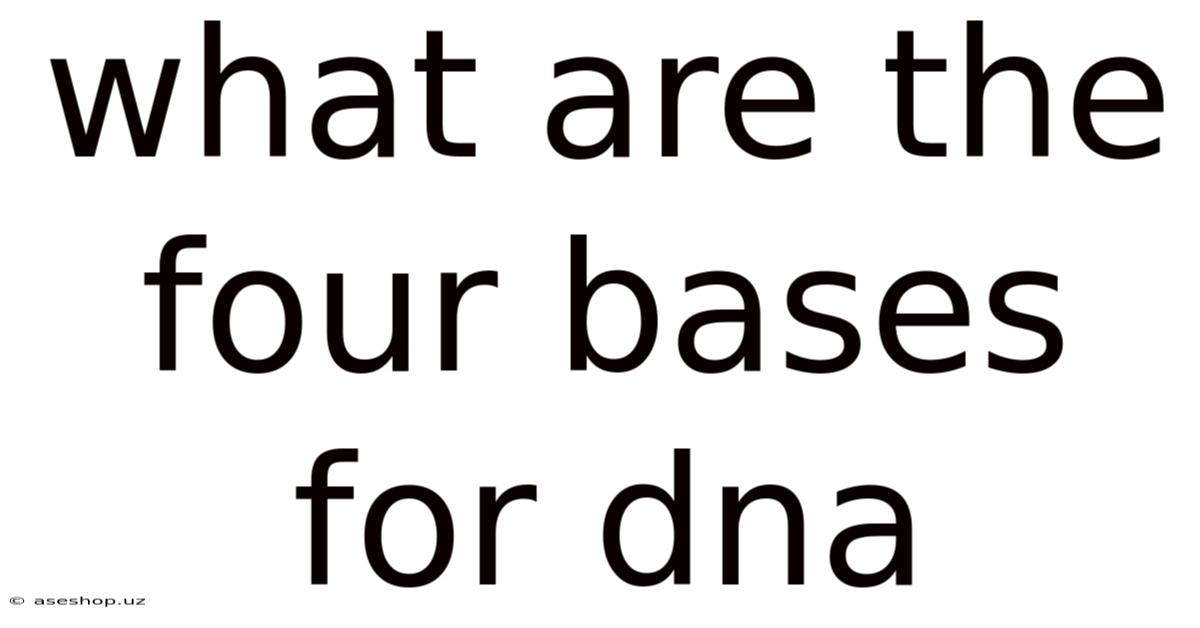 What Are The Four Bases For Dna