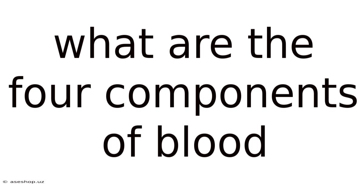 What Are The Four Components Of Blood