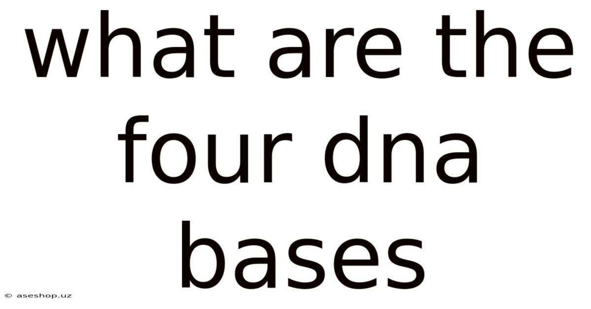 What Are The Four Dna Bases