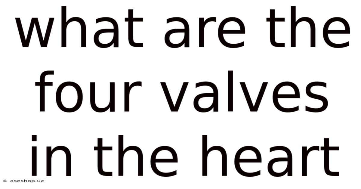 What Are The Four Valves In The Heart