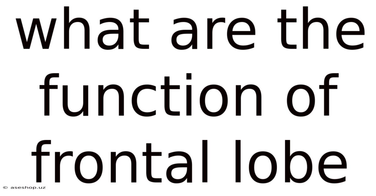 What Are The Function Of Frontal Lobe