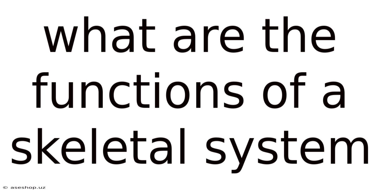 What Are The Functions Of A Skeletal System