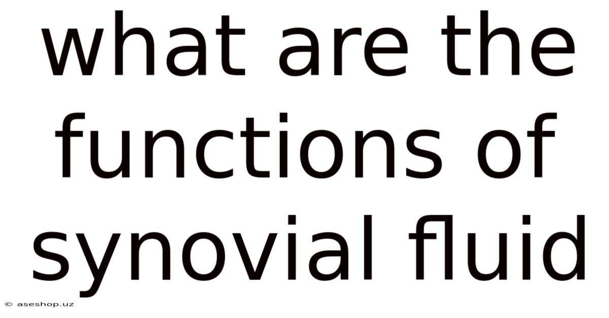 What Are The Functions Of Synovial Fluid