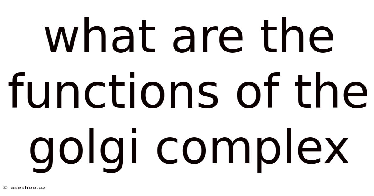 What Are The Functions Of The Golgi Complex