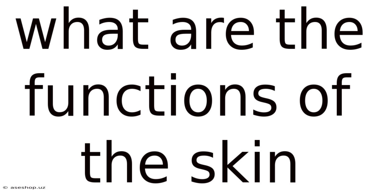 What Are The Functions Of The Skin