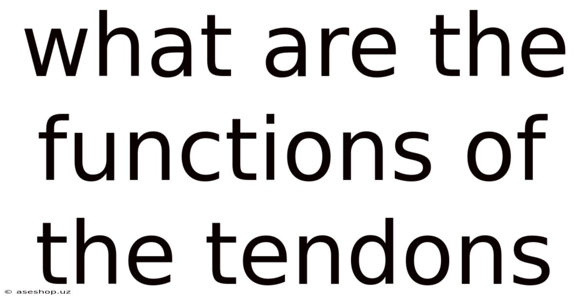 What Are The Functions Of The Tendons