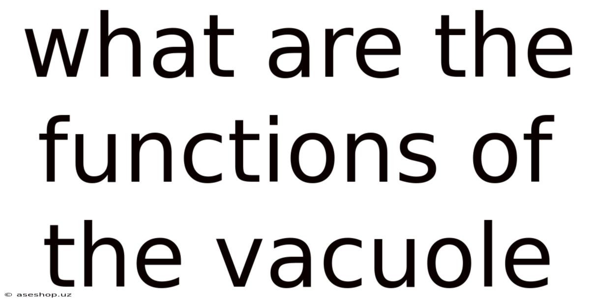 What Are The Functions Of The Vacuole