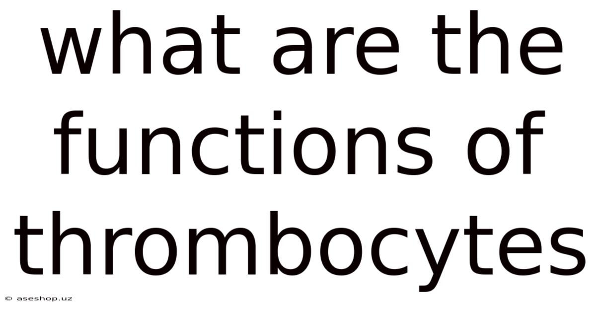 What Are The Functions Of Thrombocytes