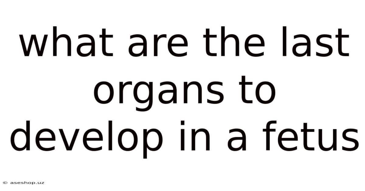 What Are The Last Organs To Develop In A Fetus