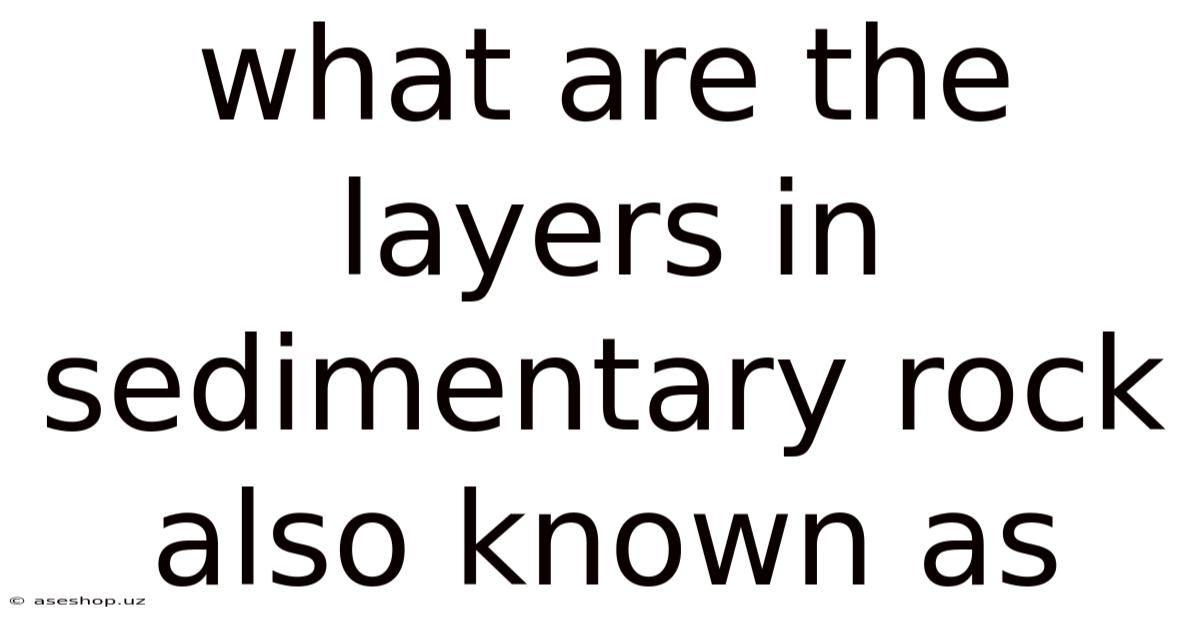 What Are The Layers In Sedimentary Rock Also Known As