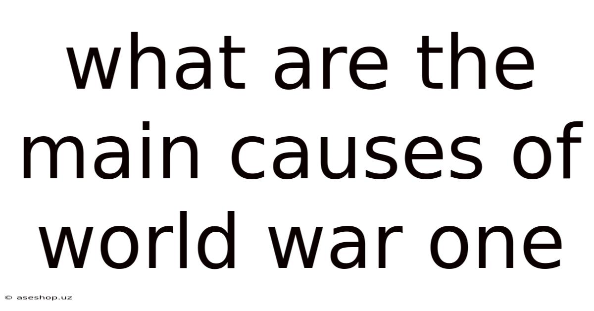 What Are The Main Causes Of World War One