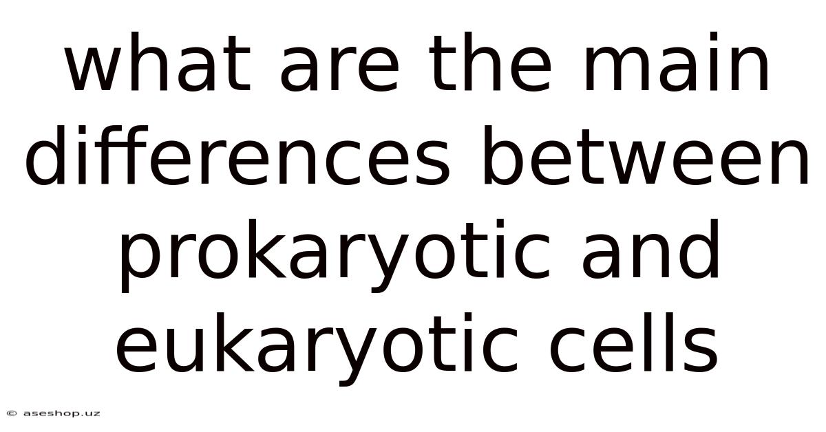 What Are The Main Differences Between Prokaryotic And Eukaryotic Cells