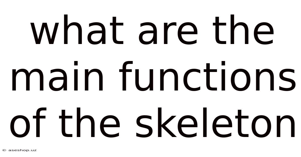 What Are The Main Functions Of The Skeleton