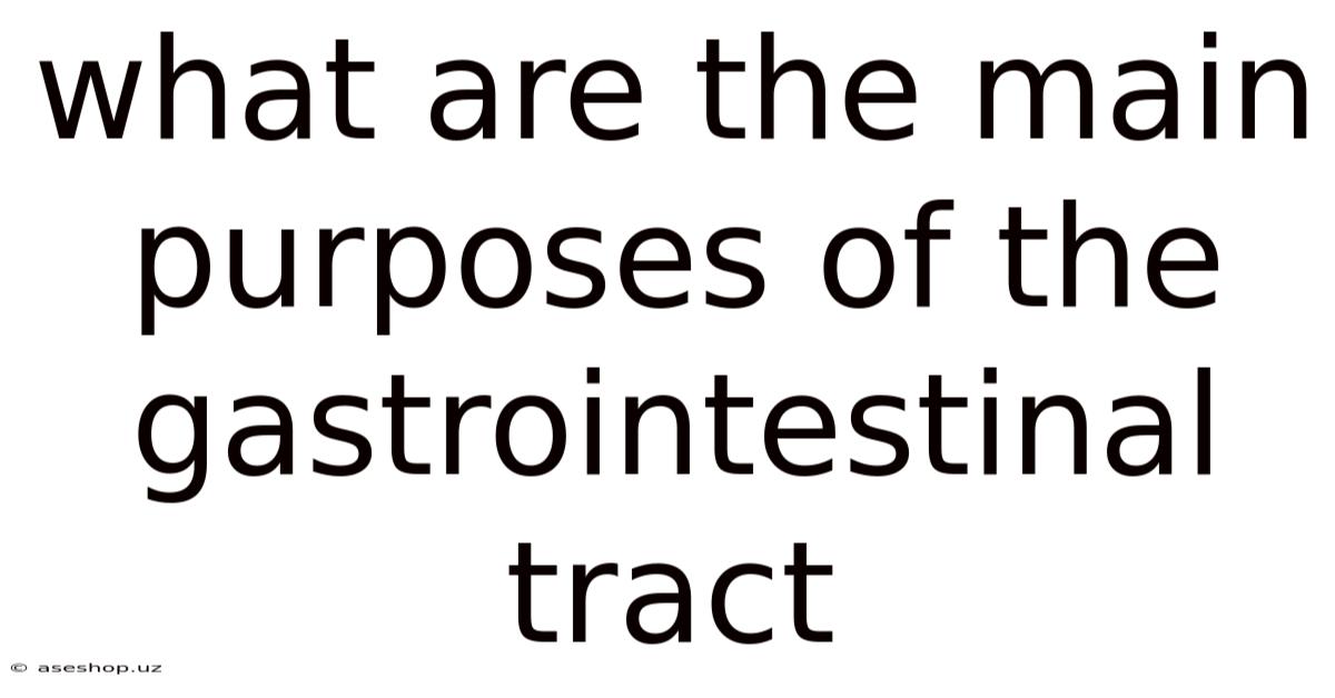 What Are The Main Purposes Of The Gastrointestinal Tract