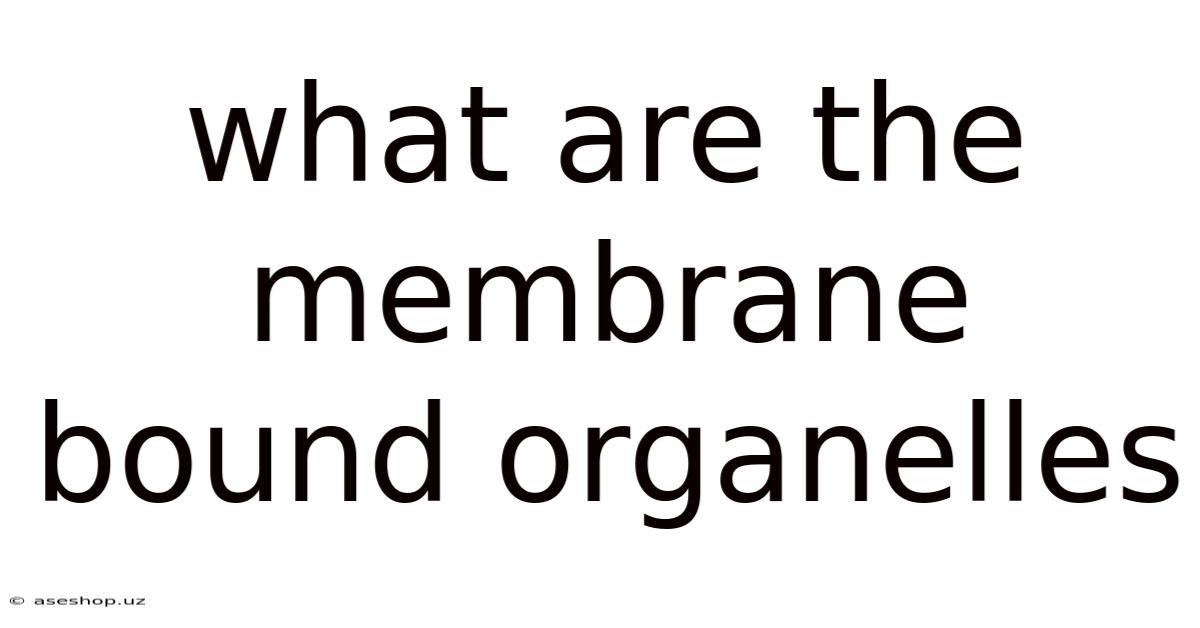 What Are The Membrane Bound Organelles
