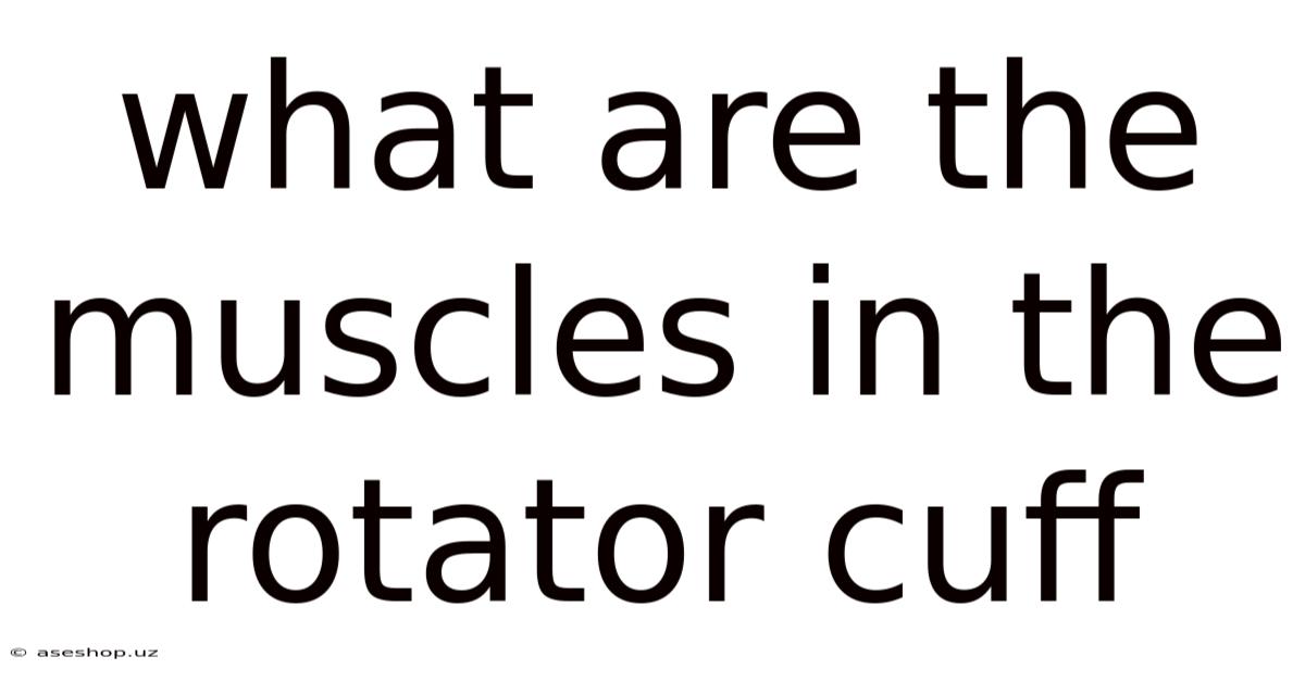 What Are The Muscles In The Rotator Cuff
