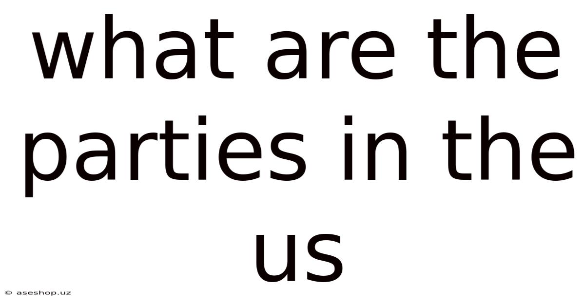 What Are The Parties In The Us