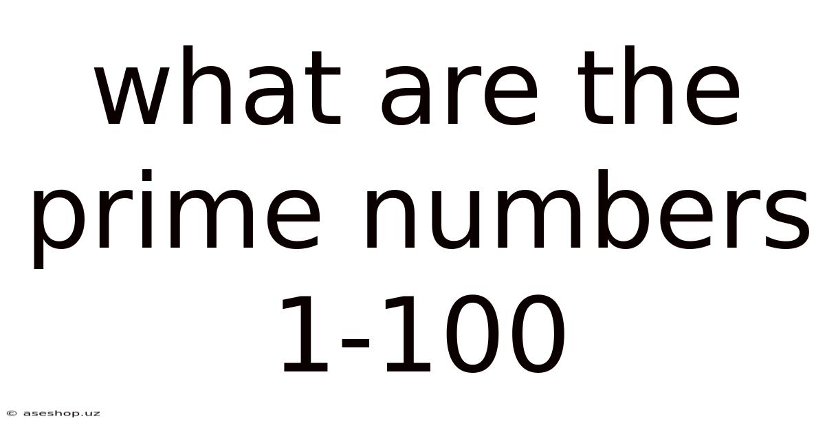 What Are The Prime Numbers 1-100