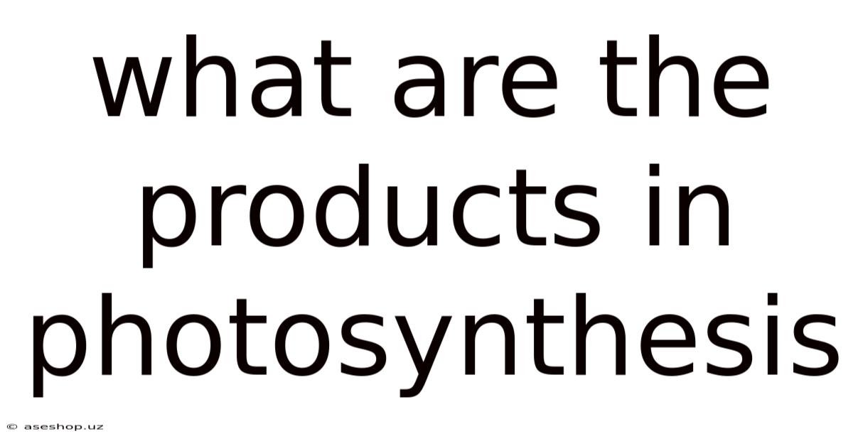 What Are The Products In Photosynthesis