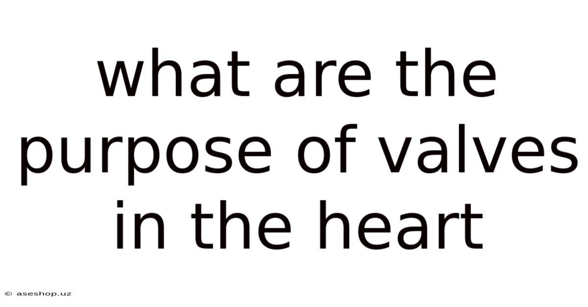 What Are The Purpose Of Valves In The Heart