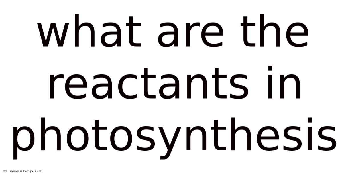What Are The Reactants In Photosynthesis