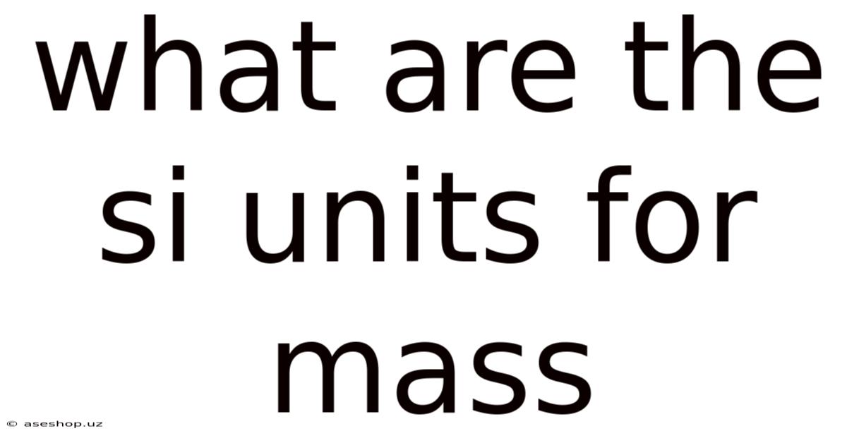 What Are The Si Units For Mass