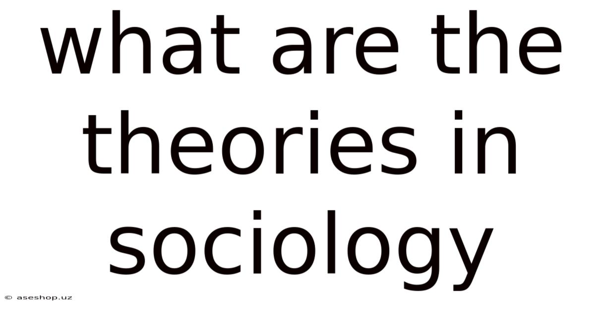What Are The Theories In Sociology