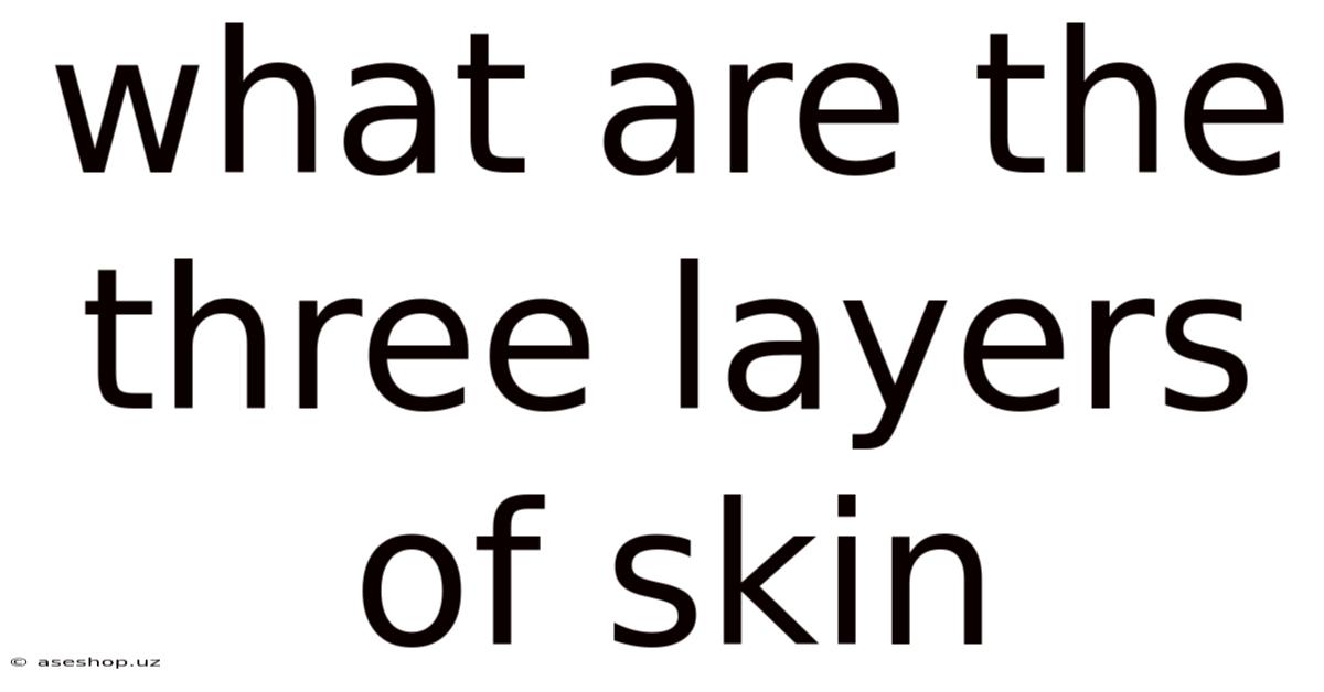 What Are The Three Layers Of Skin