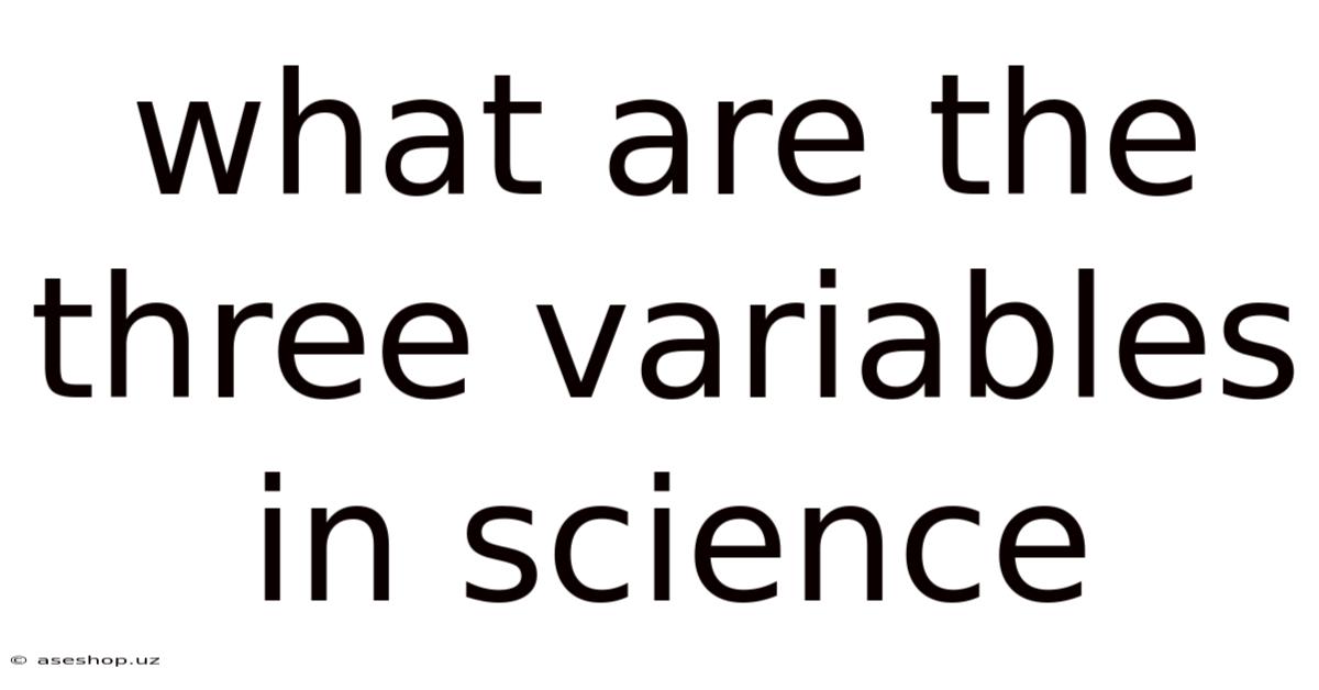 What Are The Three Variables In Science