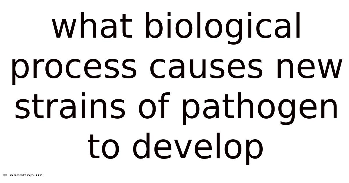 What Biological Process Causes New Strains Of Pathogen To Develop