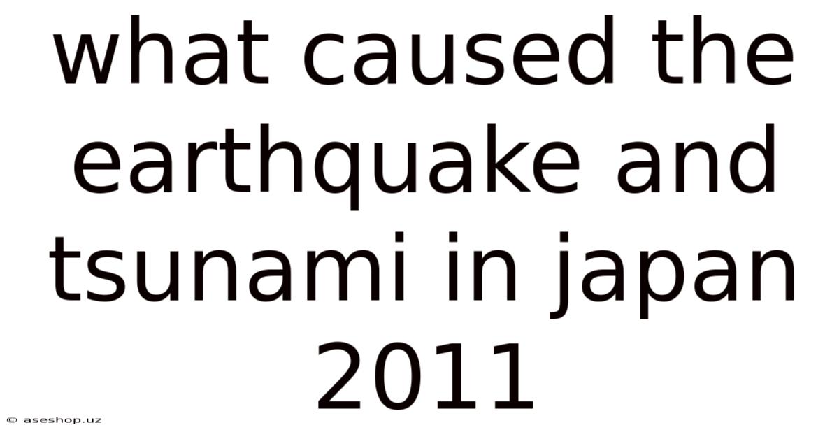 What Caused The Earthquake And Tsunami In Japan 2011