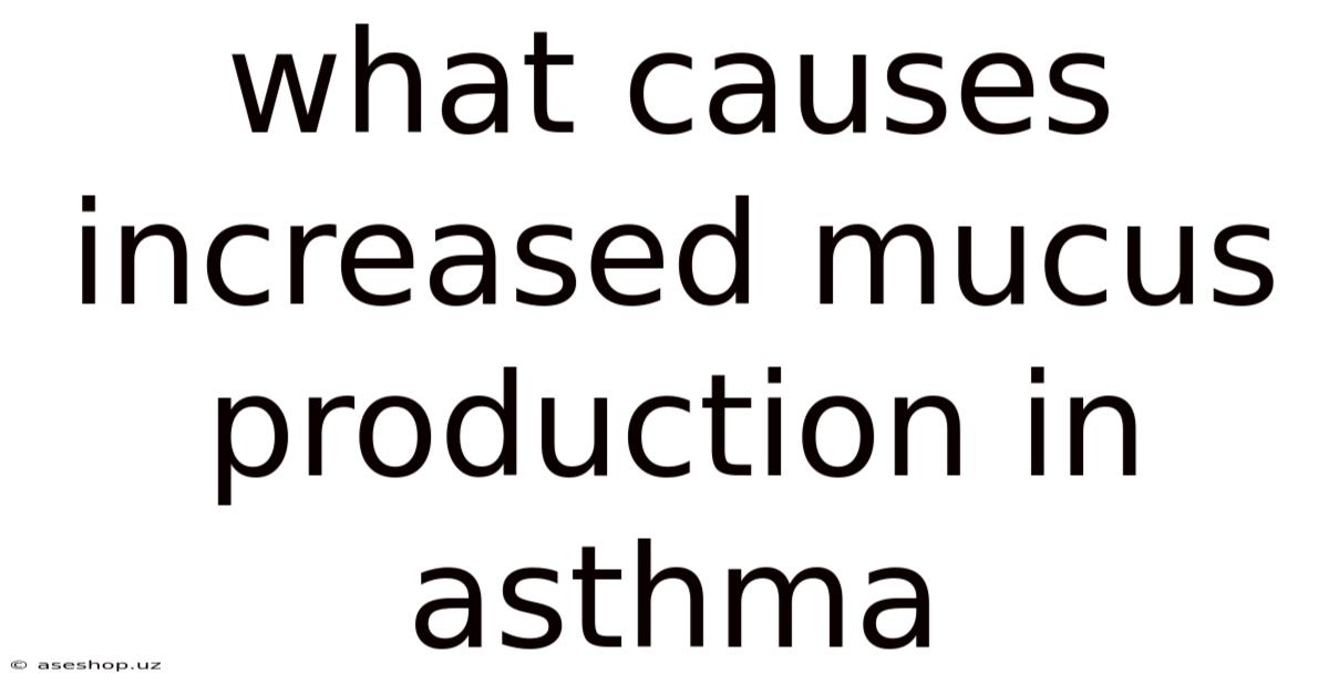 What Causes Increased Mucus Production In Asthma