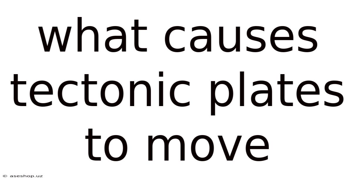 What Causes Tectonic Plates To Move